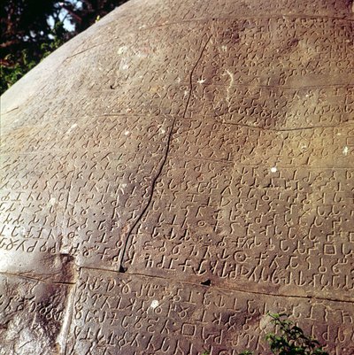 Copy of the Stone of Emperor Ashoka (detail) by Indian